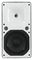ODP-208W - 8" Wall Speaker, 150W RMS, 16 Ohm, IP65, White