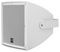 ODX-212TW - 12" Installation Wall Speaker, IP65, 300W, RMS, White