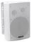 WPS-6W - 6.5" 2 Way Speaker, Public Address Systems 100V, 40W RMS