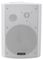 WPS-6W - 6.5" 2 Way Speaker, Public Address Systems 100V, 40W RMS