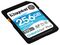 SDG3/256GB - 256GB Canvas Go! Plus SDXC Memory Card, Class 10 UHS-I U3 V30 170MB/s Read