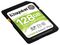 SDS2/128GB - 128GB Canvas Select Plus SDXC Memory Card, Class 10 UHS-I U1 V10 100MB/s Read