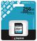 SDG4/256GB - 256GB Canvas Go! Plus SDXC Memory Card, Class 10 UHS-I U3 V30 200MB/s Read
