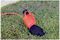 PEL01009 - 1 Gang Outdoor Mains Extension Lead, 10m, IP54
