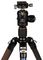 LN284CT + NB40 - Carbon Fibre Tripod with NB-40 Ballhead