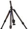 LN284CT + NB40 - Carbon Fibre Tripod with NB-40 Ballhead