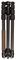 LN284CT + NB40 - Carbon Fibre Tripod with NB-40 Ballhead