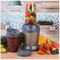 EK2002V4SILVER - 1000W NutriPro Multi-Purpose Blender with Blending Cups