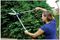 4904RSS - 230mm Blade Length Telescopic Hedge Shears