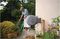 2485 - Wall Mounted  Auto Reel with 10m Garden Hose Pipe