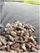 WG2 - Heavy Duty Weed Control Fabric / Membrane, 25m x 1m
