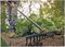 1016036 - Solid™ Soil Rake