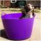 SP75GBK - Extra Large Gorilla Tub, 75L - Black