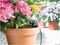 7024 - 15 Pot Easy Drip Micro Garden Watering Kit