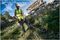 DCM571N-XJ - 38cm 54V XR FlexVolt Brushless Cordless Grass Trimmer / Brush Cutter - Bare Unit