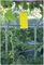 GPYIT - Yellow Sticky Insect / Fly Trap