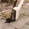 PWBRUSH - Wooden Patio Wire Weed Brush