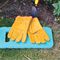 GGLN4 - Ladies Bramble / Thorn Gardening Gloves