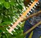BEHT201-GB - 45cm 16mm Gap 420W Electric Hedge Trimmer 230V