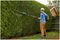 UNIVERSALHEDGEPOLE 18 - 43cm 18V 2.5Ah Li-Ion Cordless Hedge Trimmer Pole Kit
