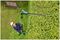 UNIVERSALHEDGEPOLE 18 - 43cm 18V 2.5Ah Li-Ion Cordless Hedge Trimmer Pole Kit