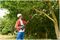 UNIVERSALCHAINPOLE 18 BARE TOOL VERSION - 20cm 18V Li-Ion Cordless Telescopic Chainsaw Pruner - Bare Unit
