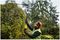 DCMPH566P1-GB - 55cm 18V XR 1x 5Ah Li-Ion Cordless Pole Hedge Trimmer Kit
