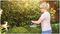 EASYHEDGECUT 18-45 - BARETOOL - 45cm 15mm Gap 18V Li-Ion Cordless Hedge Trimmer - Bare Unit