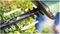 EASYHEDGECUT 18-45 - BARETOOL - 45cm 15mm Gap 18V Li-Ion Cordless Hedge Trimmer - Bare Unit