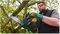 UNIVERSALCHAIN 18 - BARETOOL - 20cm 18V Li-Ion Cordless Chainsaw - Bare Unit