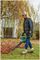 UNIVERSALGARDENTIDY 3000 - 3000W Garden Leaf Blower & Vacuum 230V