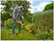 BESTA525-GB - 25cm 450W Electric Grass Trimmer 230V