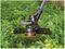 STC1820PCB-XJ - 28cm 18V Li-Ion Cordless Grass String Trimmer with Auto Line Feed System - Bare Unit