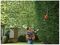 PH5551-GB - 51cm 550W Electric Pole Hedge Trimmer 230V