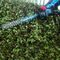 UH004GD202 - 60cm 23.5mm Gap 40Vmax XGT 2x 2.5Ah Li-Ion Cordless Brushless Hedge Trimmer Kit