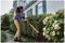 DCMHT573X1-GB - 65cm 31mm Gap 54V XR FlexVolt 9Ah Li-Ion Cordless Hedge Trimmer Kit