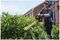 DCMHT573X1-GB - 65cm 31mm Gap 54V XR FlexVolt 9Ah Li-Ion Cordless Hedge Trimmer Kit