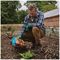 20100147 - Organic Vegetable High Performance Plant Food, 1.5kg