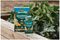 20100443 - Organic Seaweed Liquid Plant Growth Stimulant, 1L