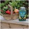 20100443 - Organic Seaweed Liquid Plant Growth Stimulant, 1L