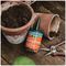 20200030 - Organic Rooting Powder, 100g