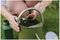 20400549 - SafeLawn Liquid Lawn Grass Feed, 1L
