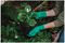 70105106 - Ultimate All-Round Gardening Gloves, Green - Medium