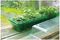 70200232 - Visiroot Windowsill Propagator Set