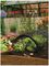 8773 - Garden Plants & Vegetables Net Growing Tunnel