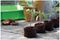 8636 - Peat Free Compost Growing Discs, 50 Pack