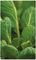 65100 - Garden Multi-Purpose Knitted Garden Netting, 6m x 4m