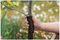 10503 - Garden Spiral Tree Guard