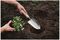 70100190 - Stainless Steel The Capability Trowel