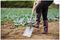 70100660 - Carbon Steel Square Mouth Garden Shovel